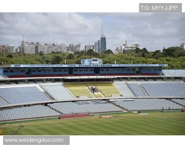 足球巨星博客：纵论足坛风云，球场内外的激情与梦想